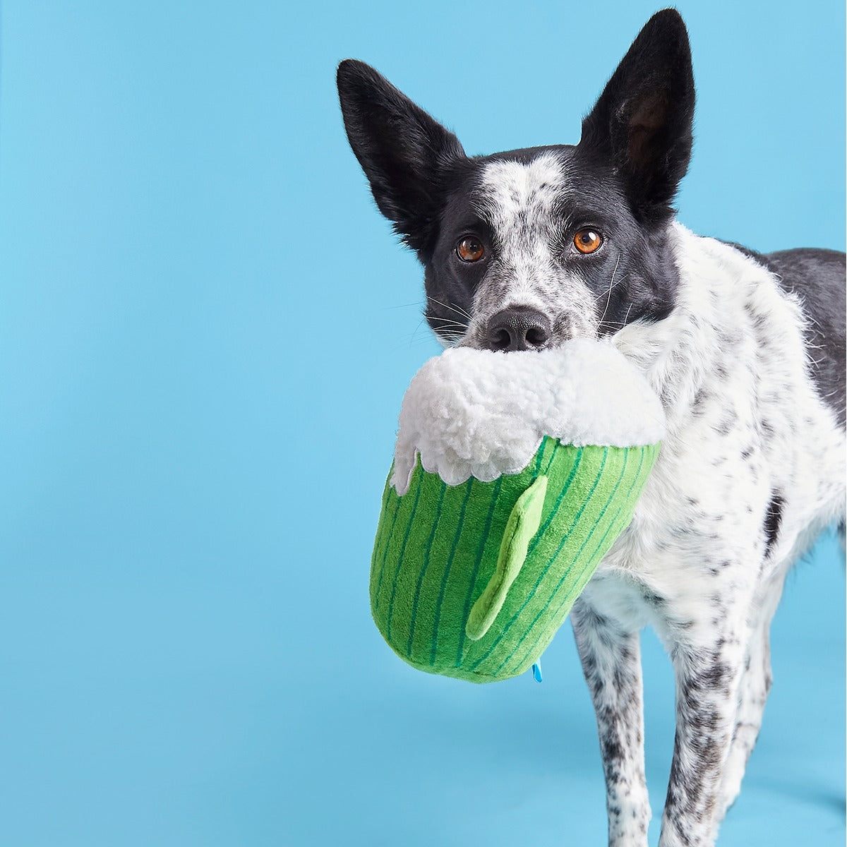 The Glass Is Greener Plush Tug Dog Toy