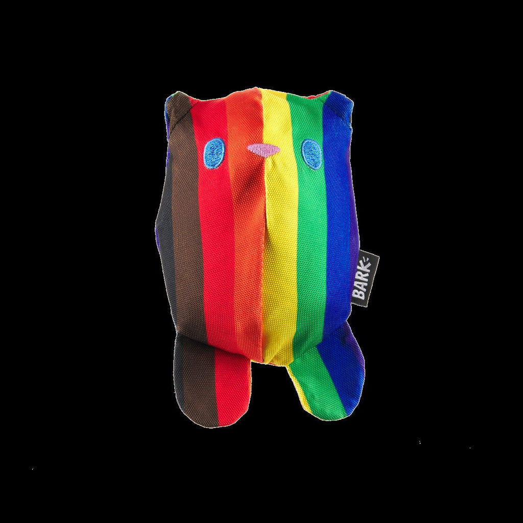 Some Bear Over The Rainbow Super Chewer Durable 2-in-1 Dog Toy