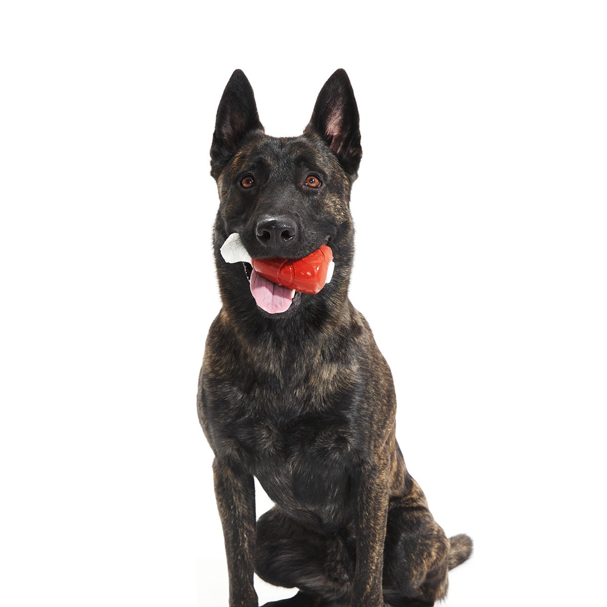 Hardy Ham Super Chewer Durable Gnaw Dog Toy