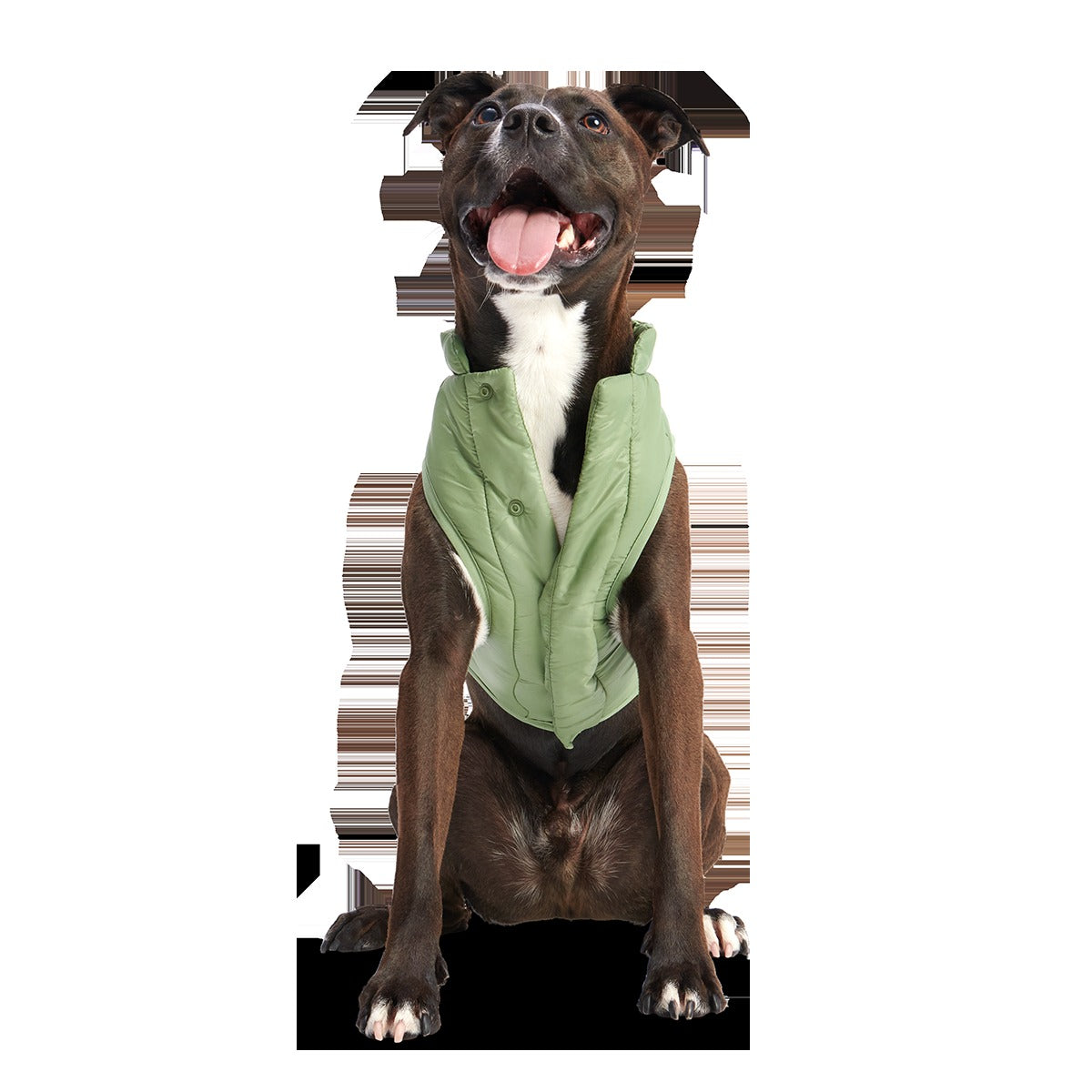 Puffer Dog Vest