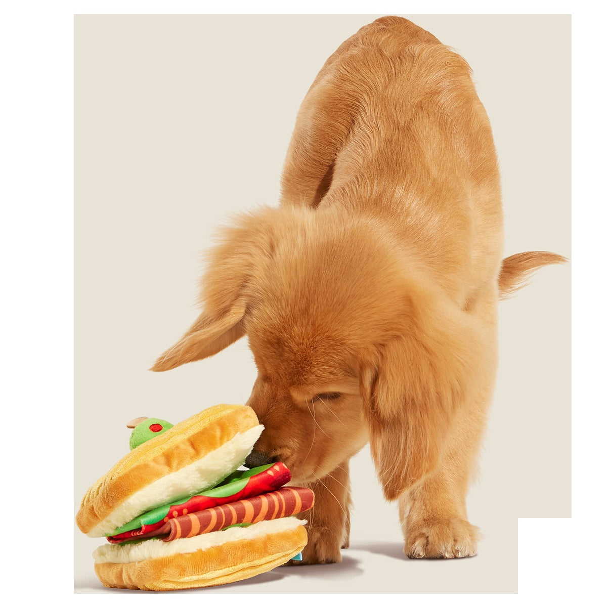 Barkin, Lettuce & Tomutto Plush Tug Dog Toy
