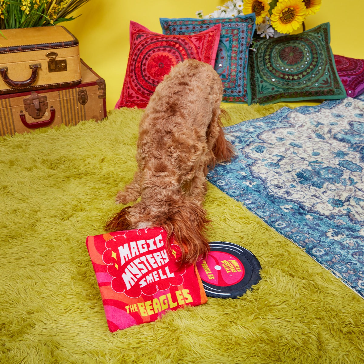 Squeakadelic Tunes Plush Multi-Part Dog Toy