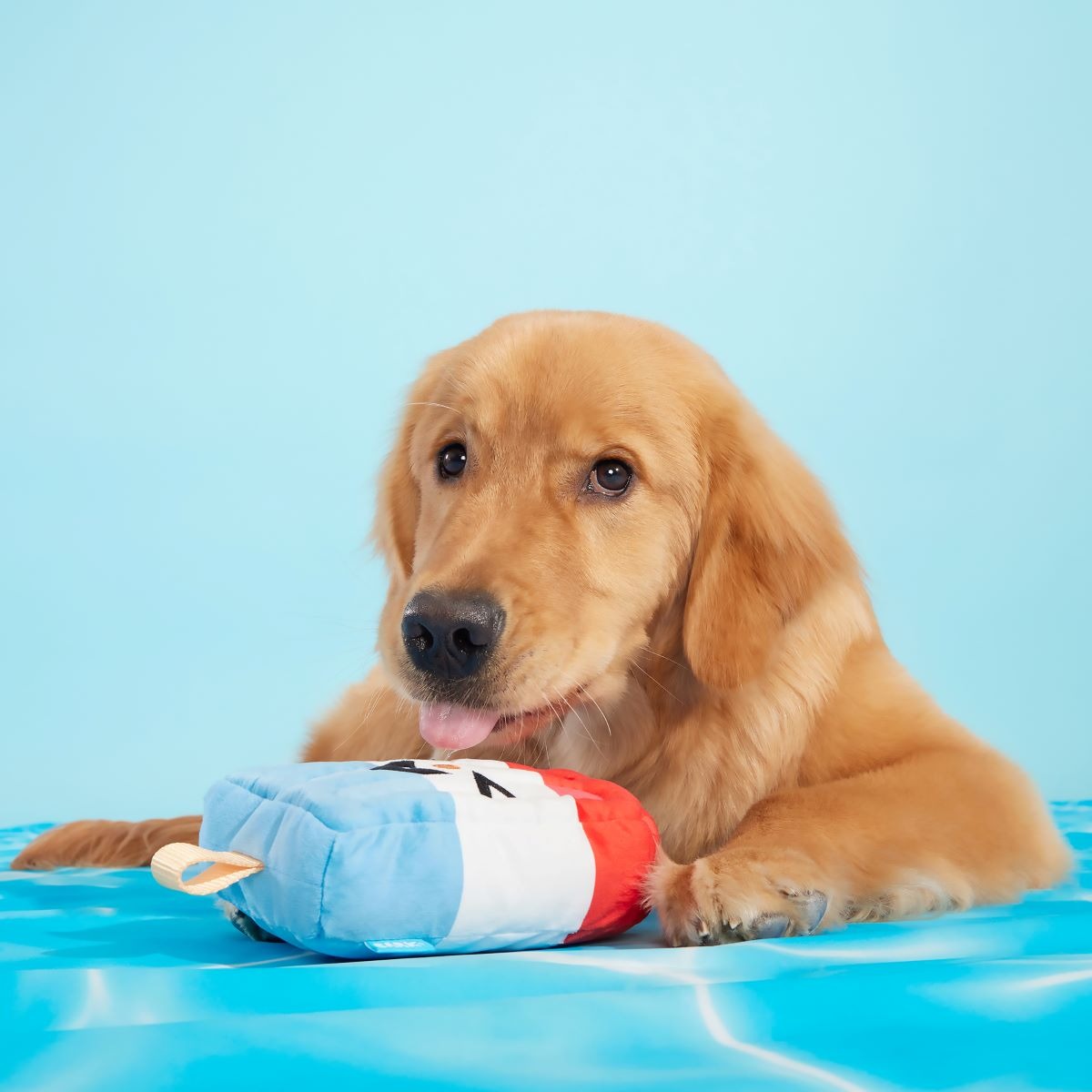 Rocket Droosicle Plush Tug Dog Toy
