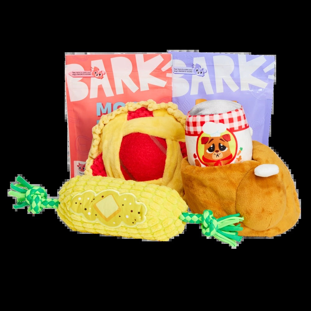 BARK 6 Month Subscription - FREE Extra Toys with Cardboard Box