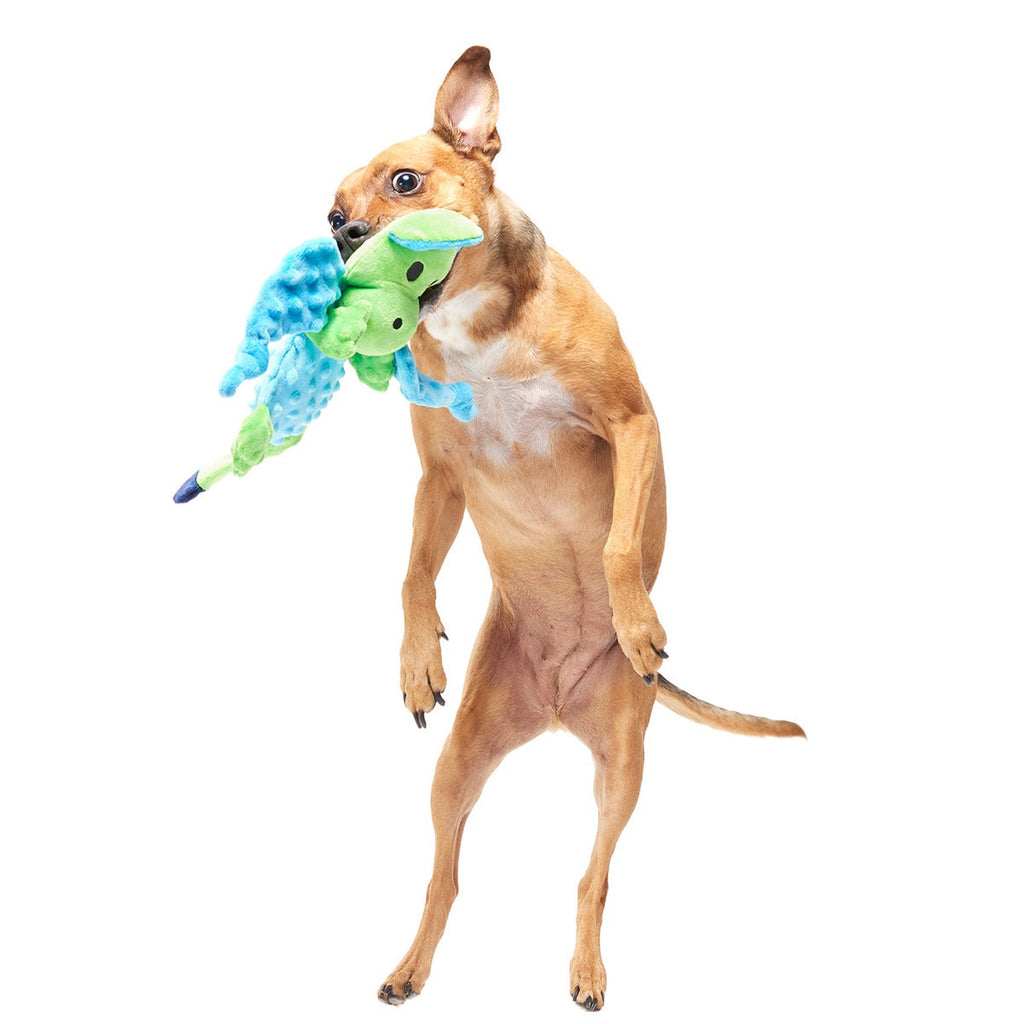 Humbert the Dragon Plush Tug Dog Toy
