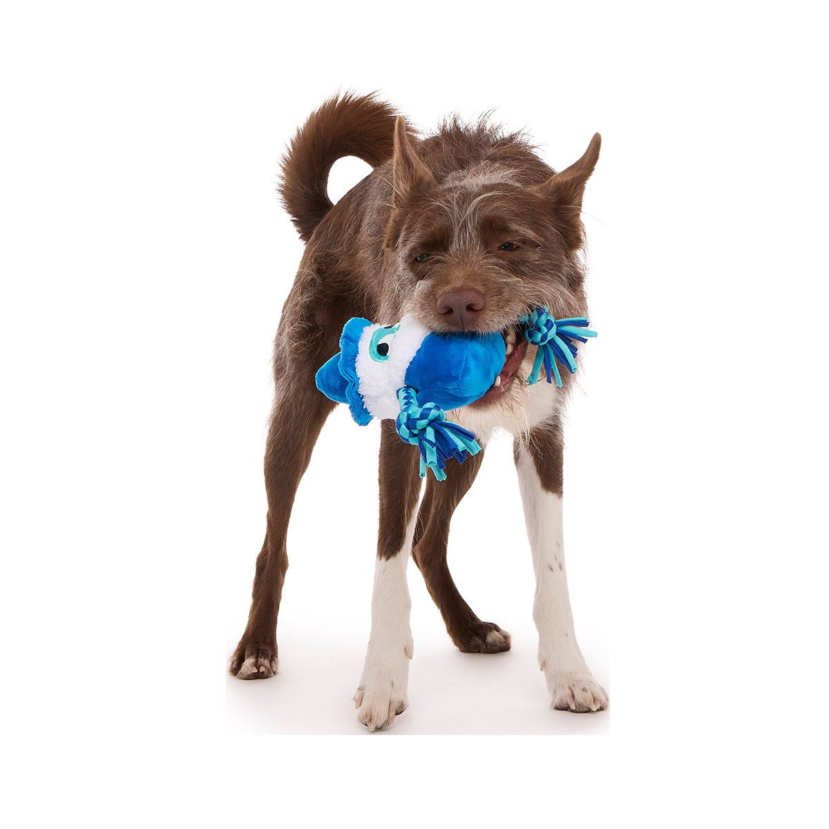 Smellcaster Merlin Plush Tug Dog Toy