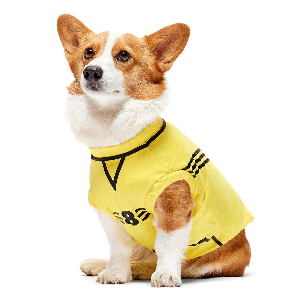 QuidditchTM Jersey