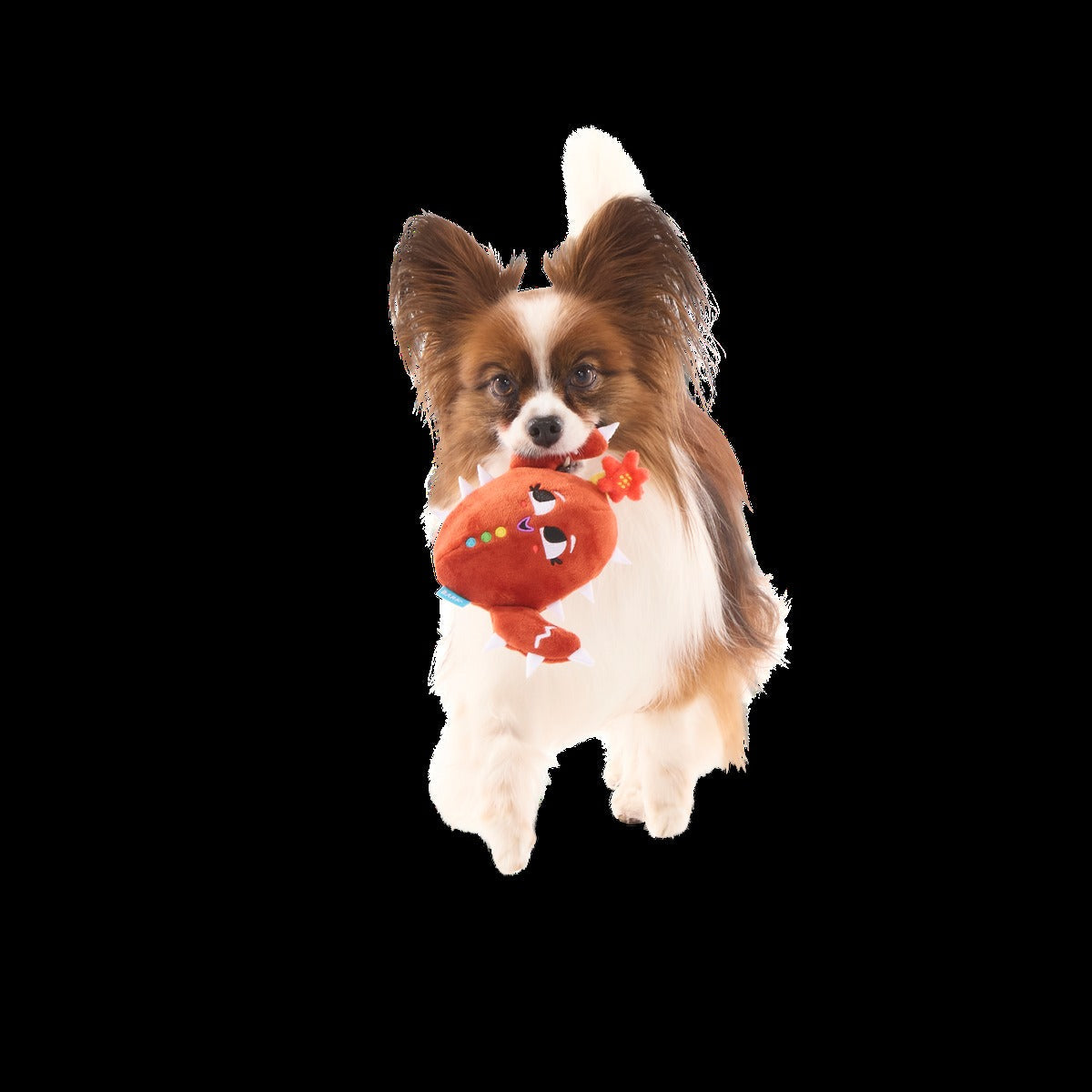 Consuela the Cookie Cactus Plush 2-in-1 Rip and Reveal Dog Toy