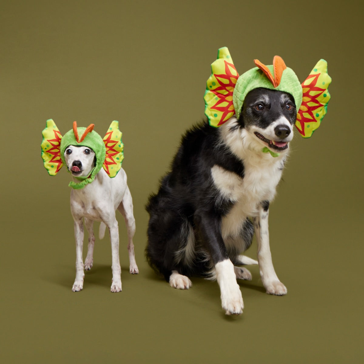 Spittin' Image Dino Collar Plush Wearable Dog Toy