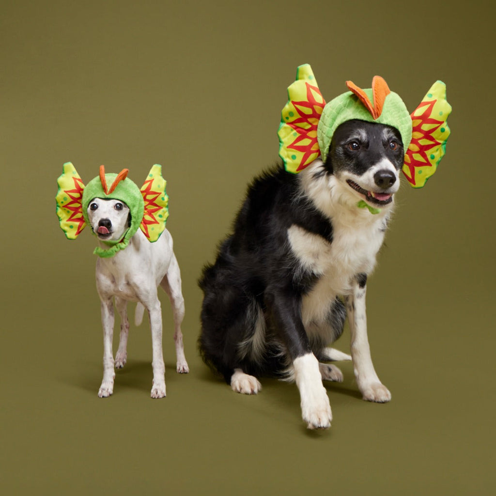 Spittin' Image Dino Collar Plush Wearable Dog Toy