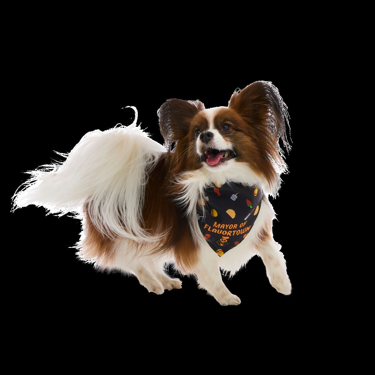 FlavortownTM Dog Bandana
