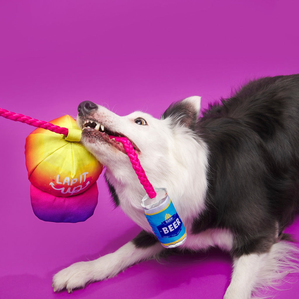 Chug n' Tug Hat Plush Dog Toy