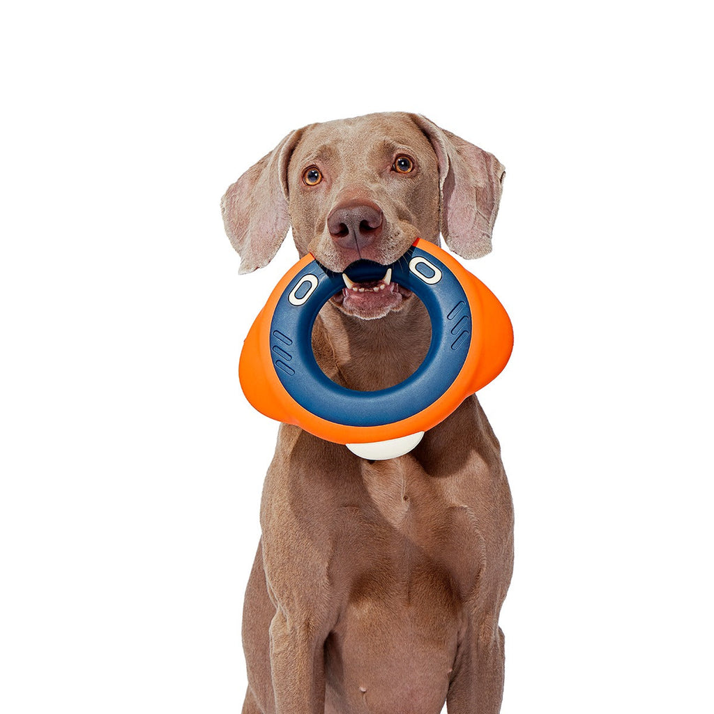 Flingray Super Chewer Durable Fetch Dog Toy