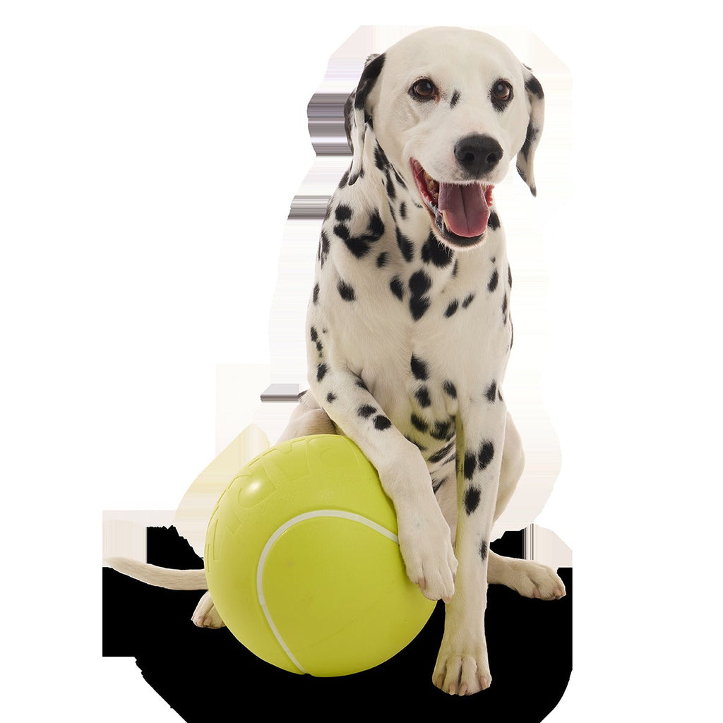 Chompianship Ball Super Chewer Durable Extra-Large + Fetch Dog Toy