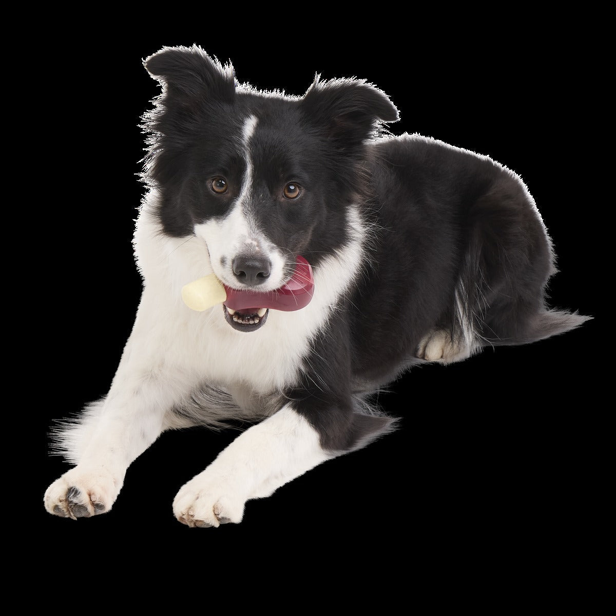 Porkchomp Super Chewer Durable Gnaw Dog Toy