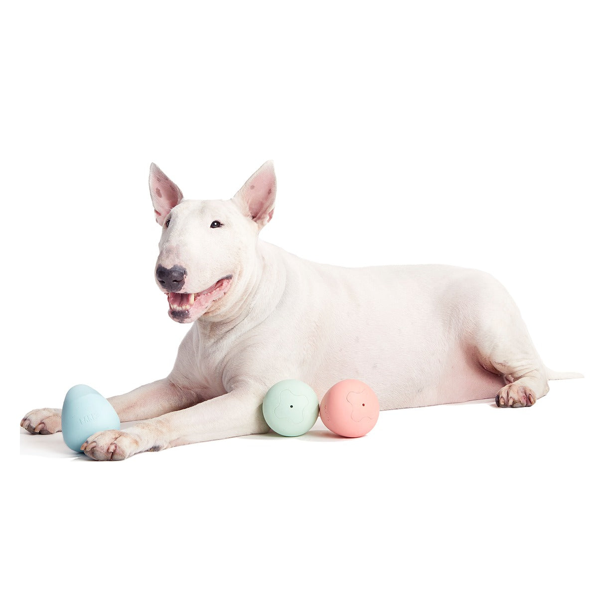 Easter Funday Bundle Super Chewer Durable Multi-Part + Fetch Dog Toy