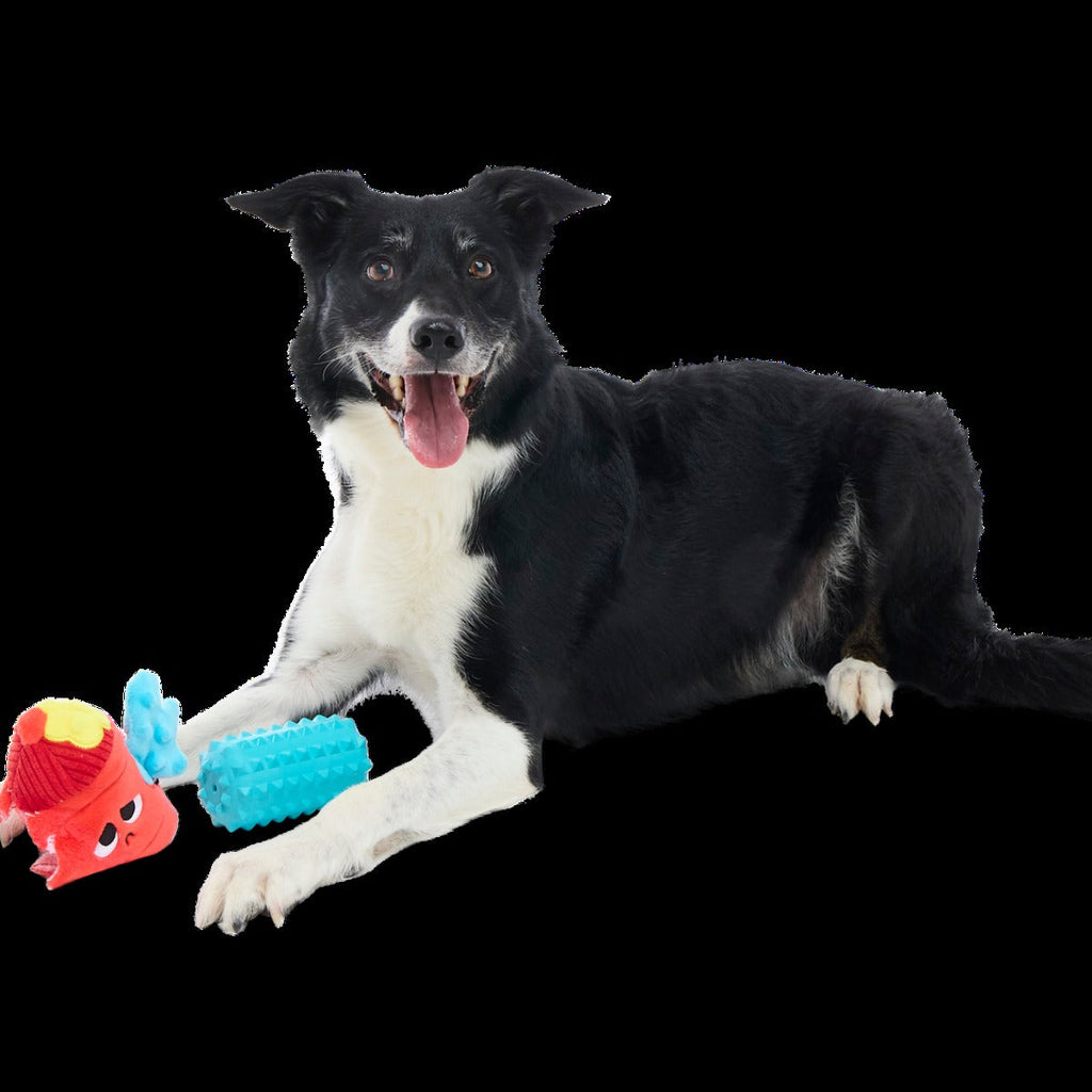 Wetted Willie Super Chewer Durable 2-in-1 Dog Toy