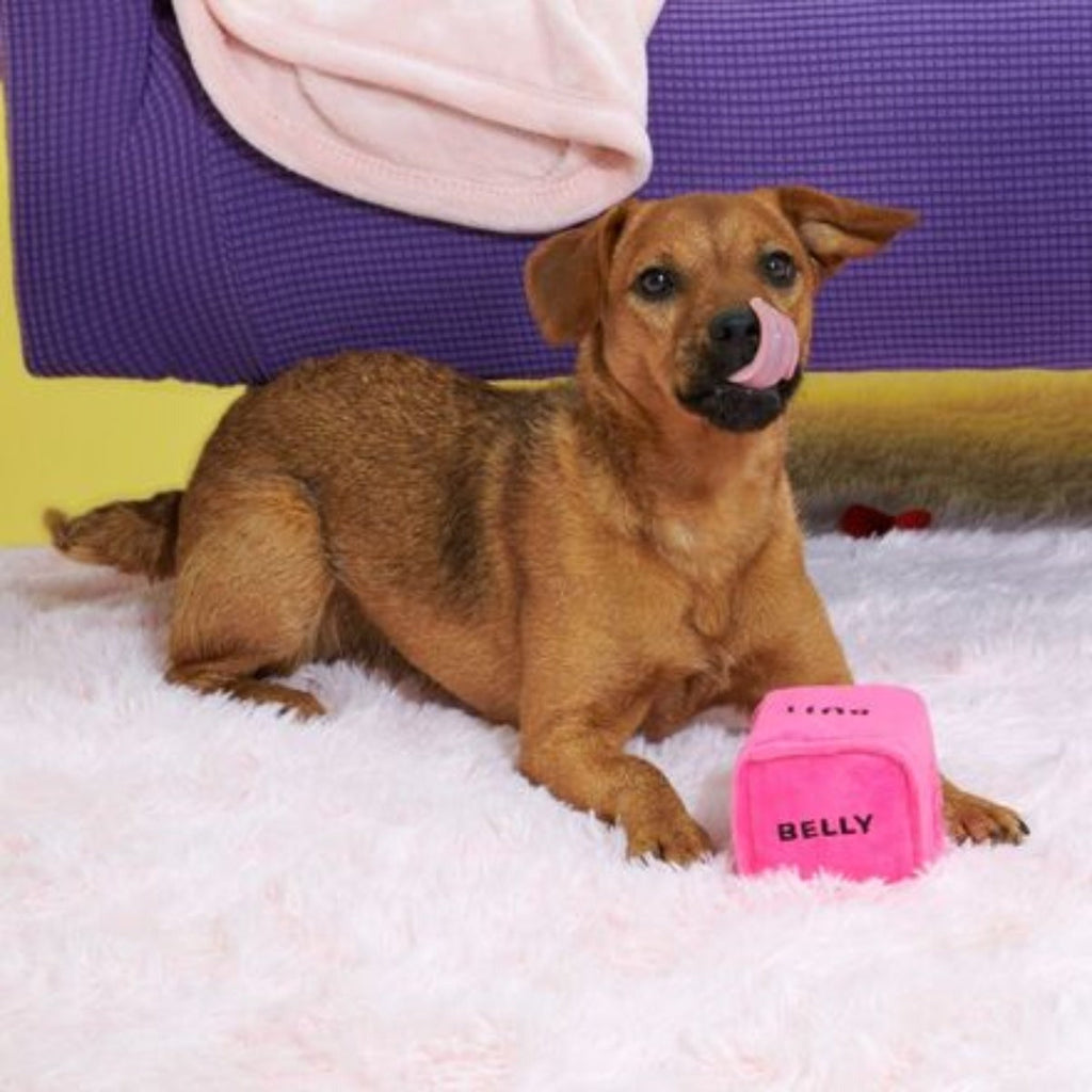 Gnawty Dog Dice Plush Multi-Part Dog Toy