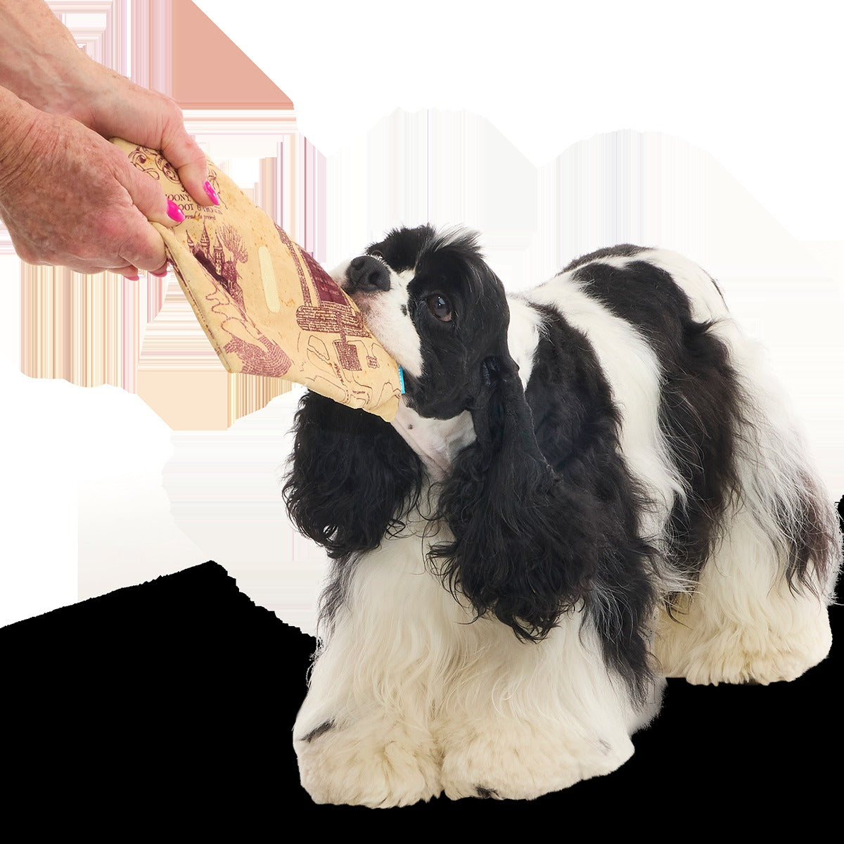 Marauder’s MapTM Plush Tug Dog Toy
