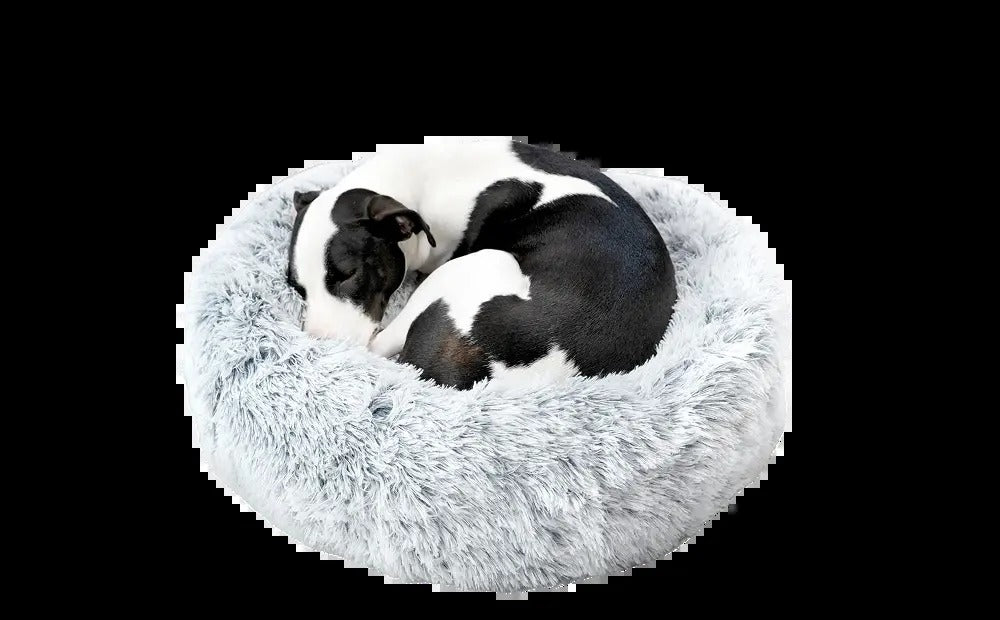Cuddler Bed