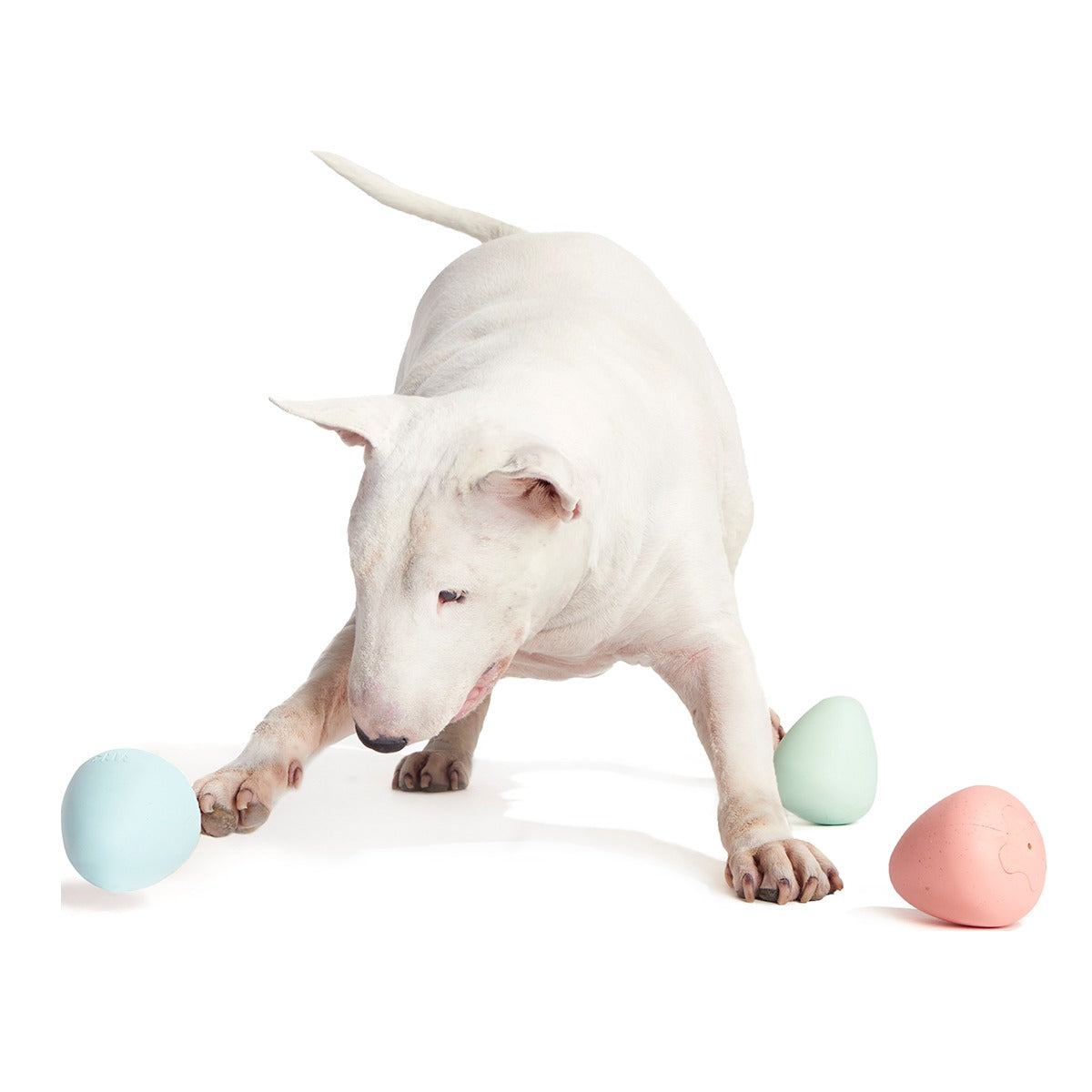 Easter Funday Bundle Super Chewer Durable Multi-Part + Fetch Dog Toy