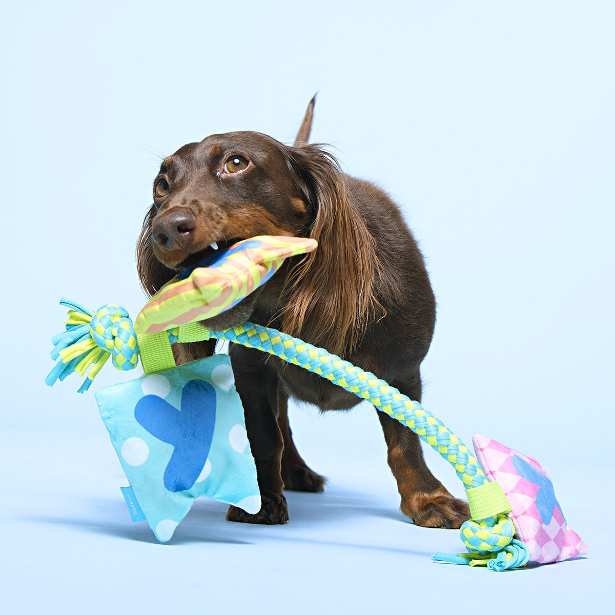 Happy Yay Banner Plush Tug Dog Toy