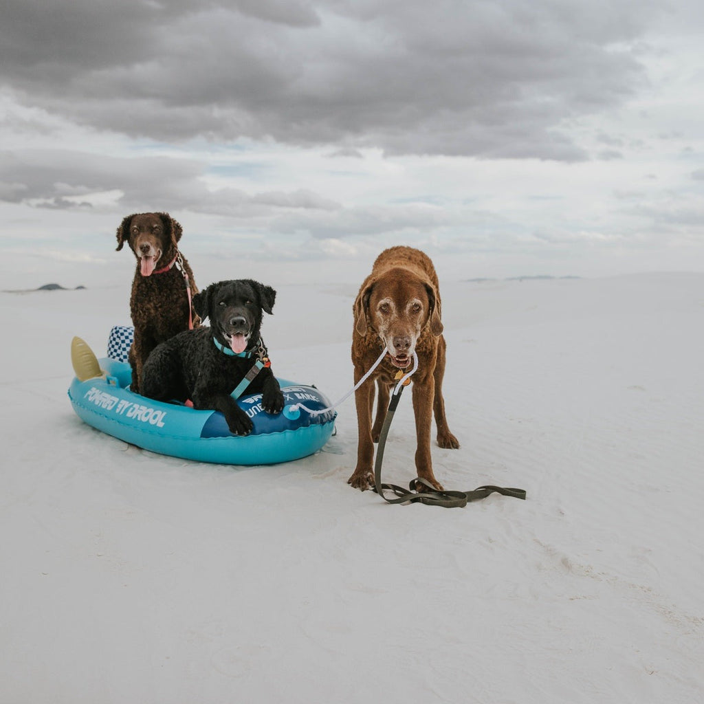 FUNBOY x BARK Dog Sled
