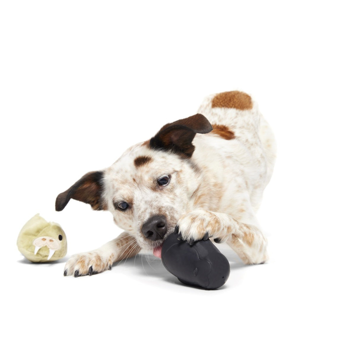 Full Belly Wally Super Chewer Durable 2-in-1 Dog Toy
