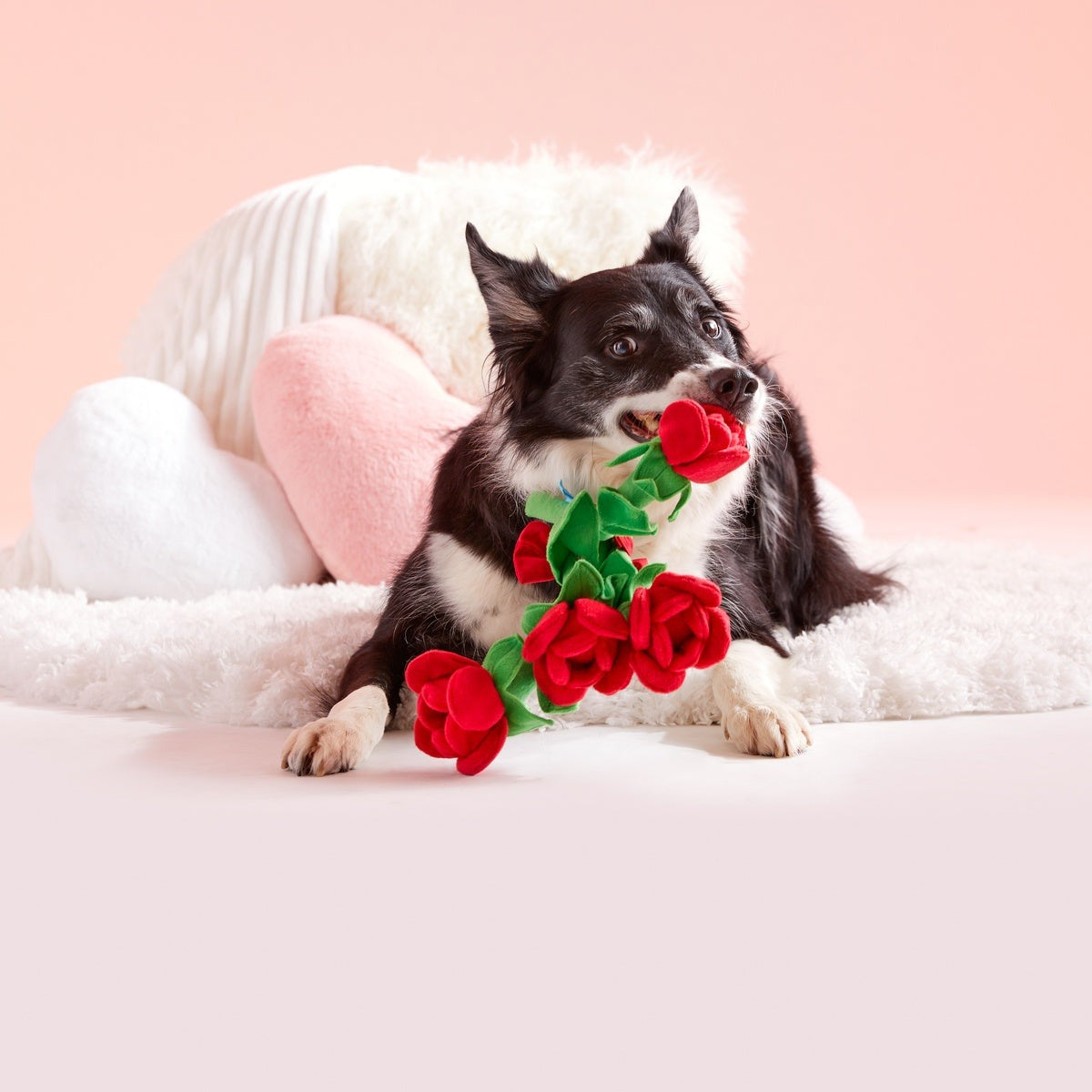 Bouquet of Roses Plush Multi-Part + Tug Dog Toy