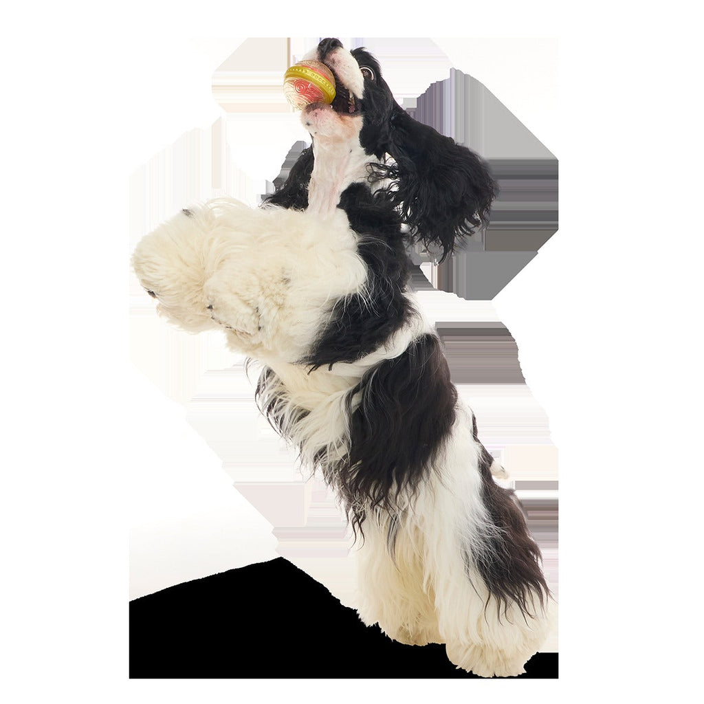 RemembrallTM Super Chewer Durable Fetch Dog Toy