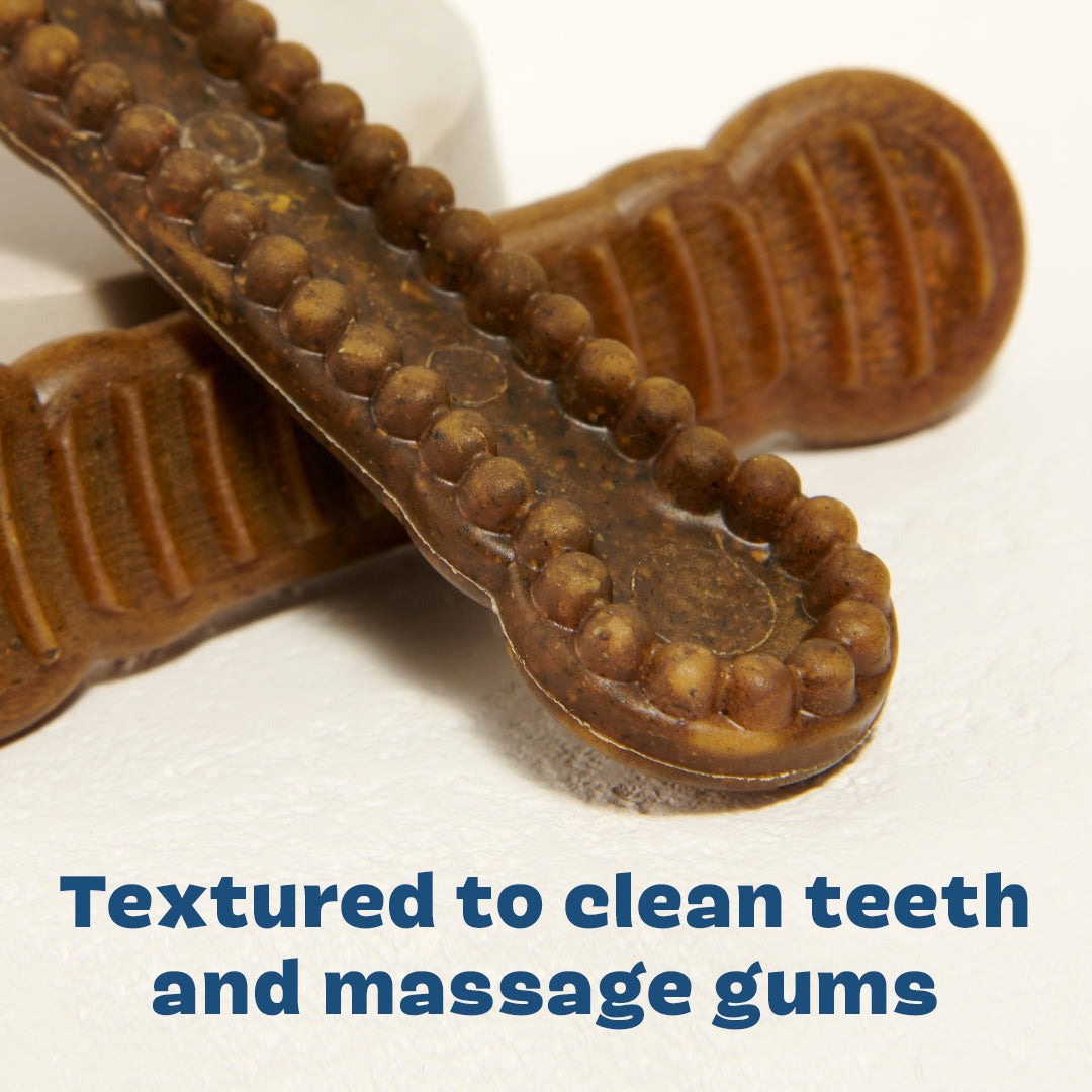 Bright Durable Dental Chews, 15 Ct