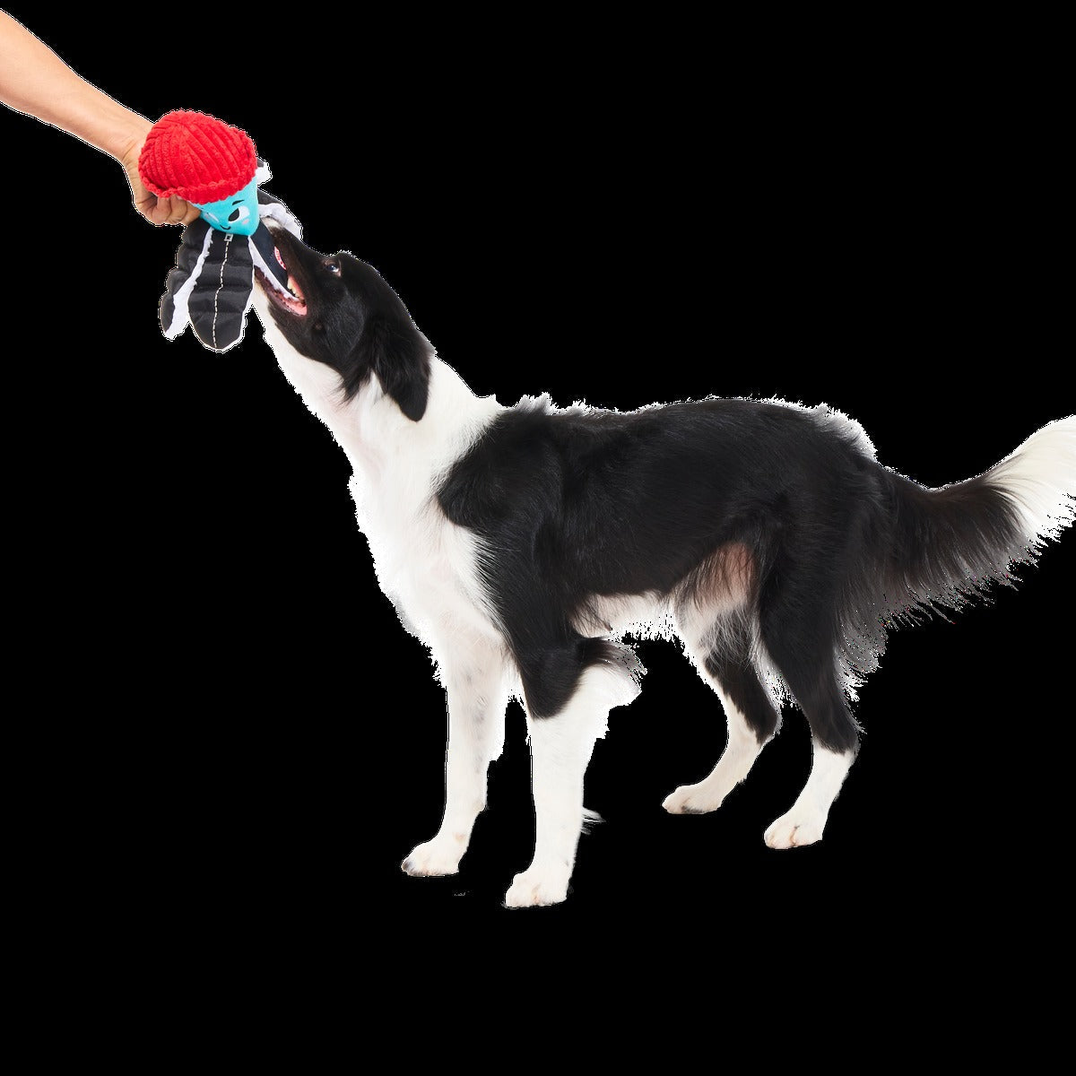 Arctic Ollie Plush Tug Dog Toy