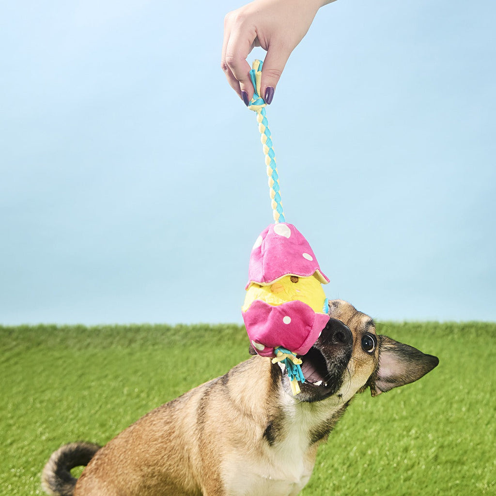 Peep-A-Bird Plush Tug Dog Toy