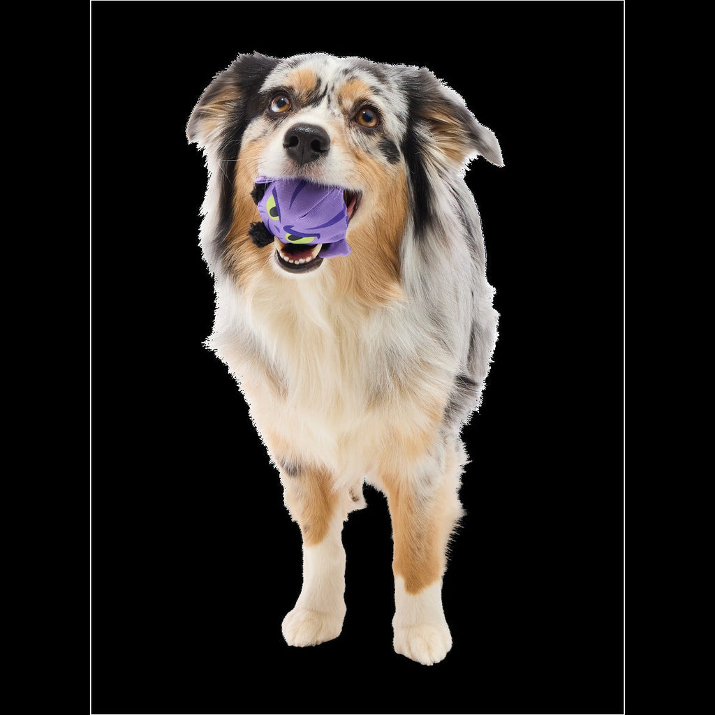 Zeb OrreliosTM Super Chewer Durable 2-in-1 + Fetch Dog Toy
