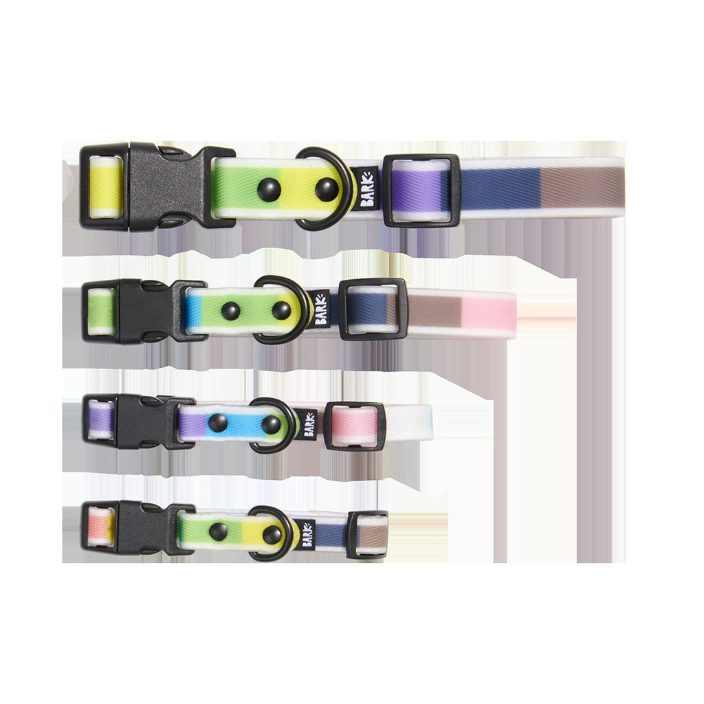 Pride Dog Walking Gear Bundle