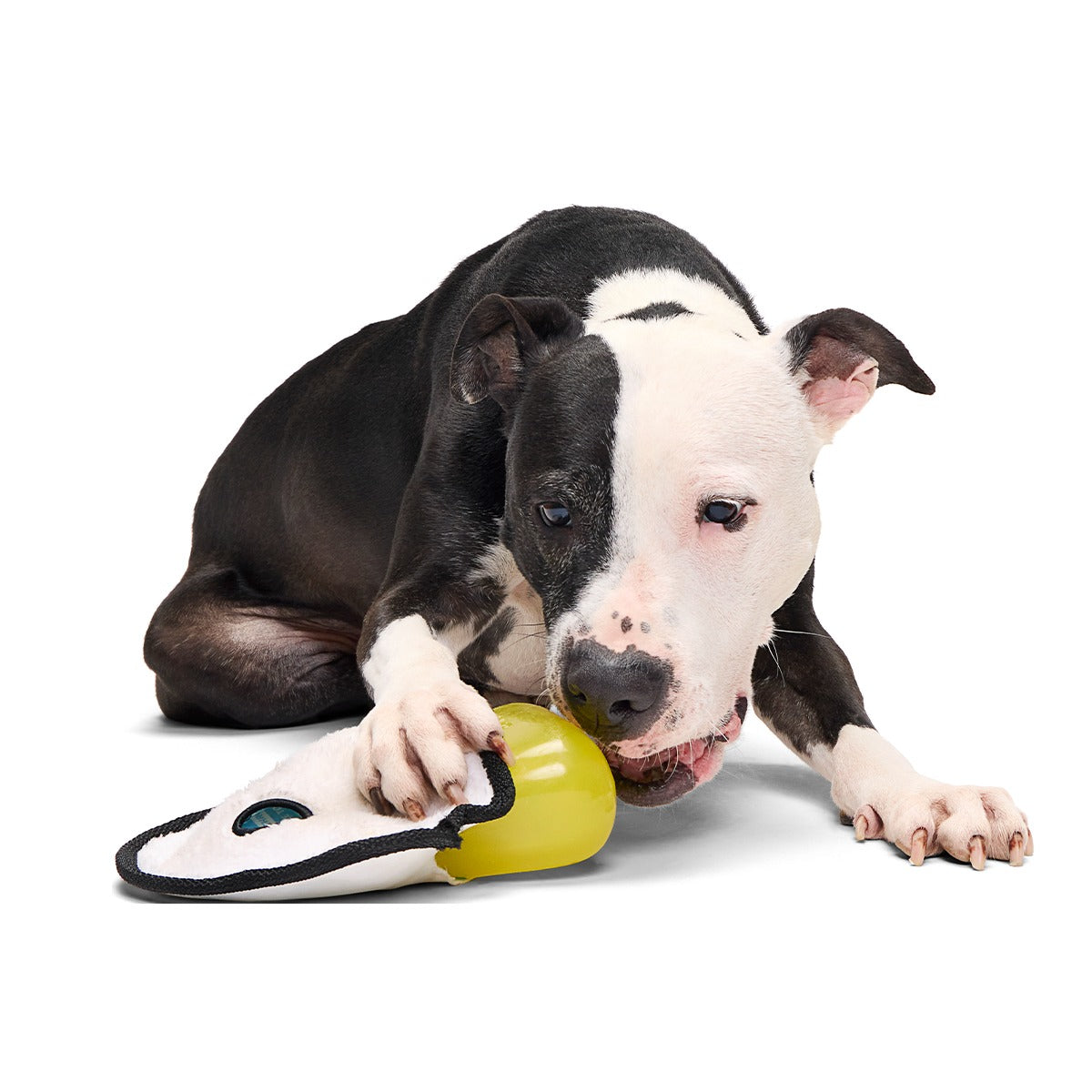 Scary Gary Super Chewer Durable 2-in-1 Dog Toy