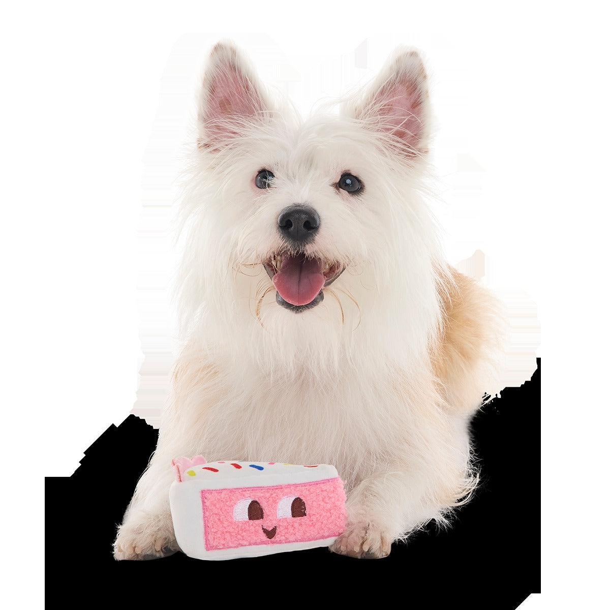 Birthday Kate Plush Tug Dog Toy