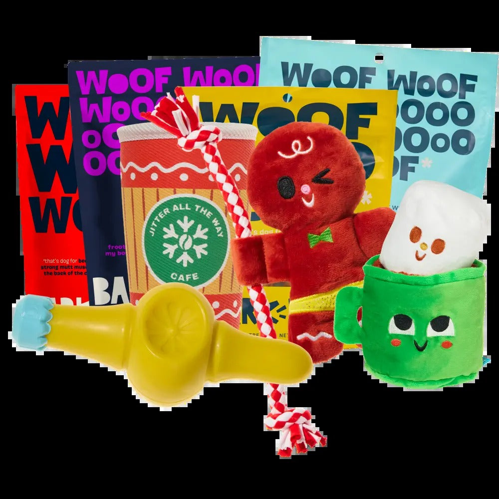 BARK 6 Month Subscription - FREE Extra Toys with Cardboard Box