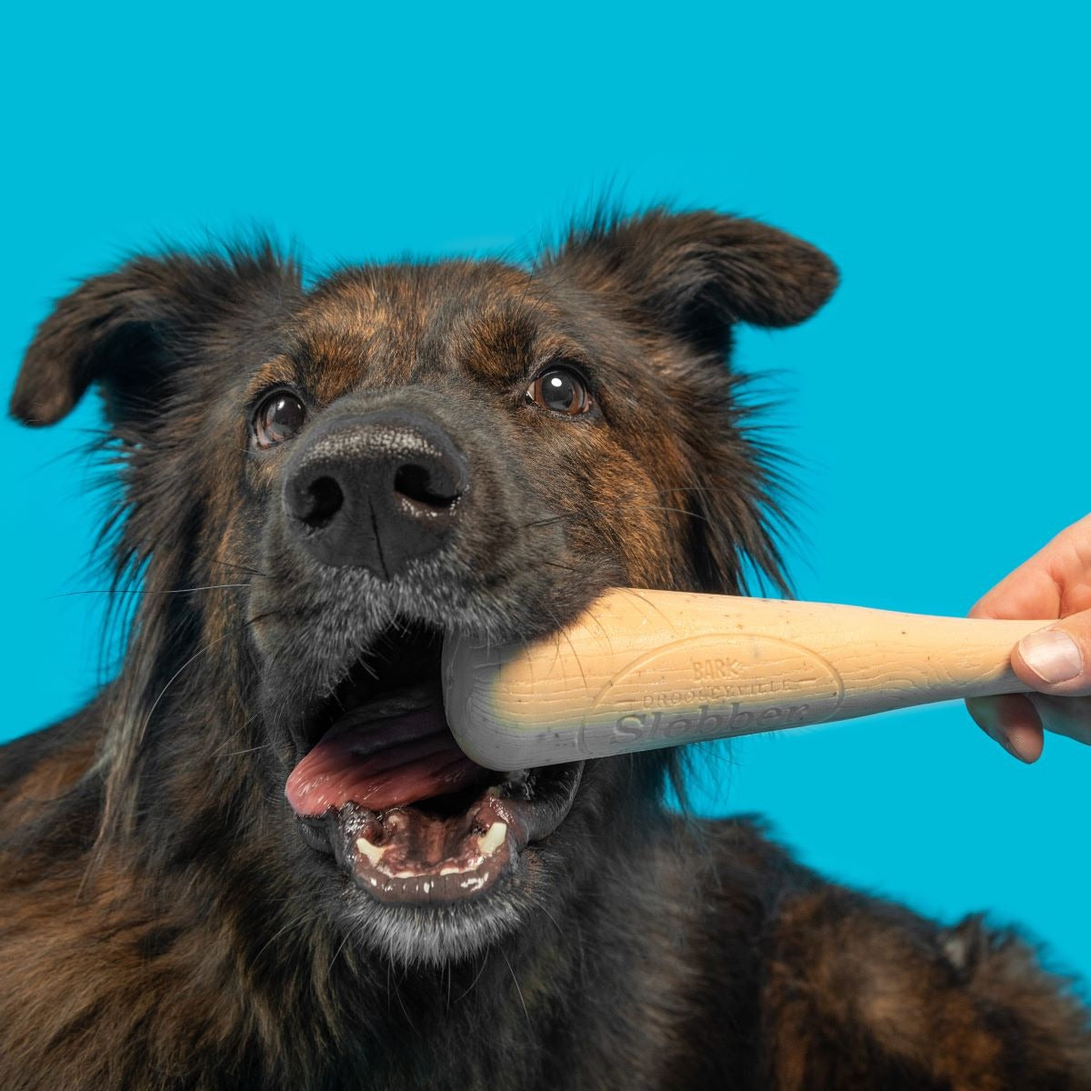 Drooleyville Slobber Super Chewer Durable Gnaw Dog Toy
