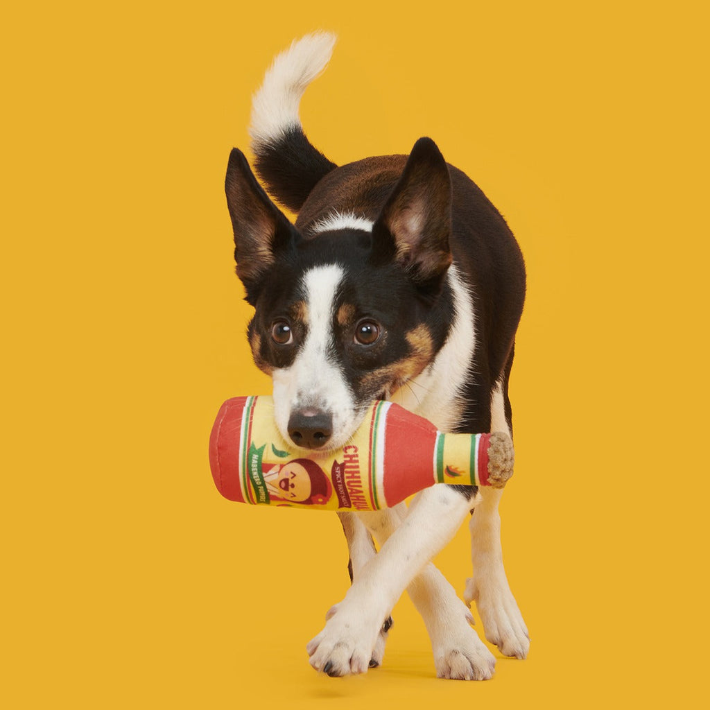 Chihuahua Hot Sauce Plush Tug Dog Toy