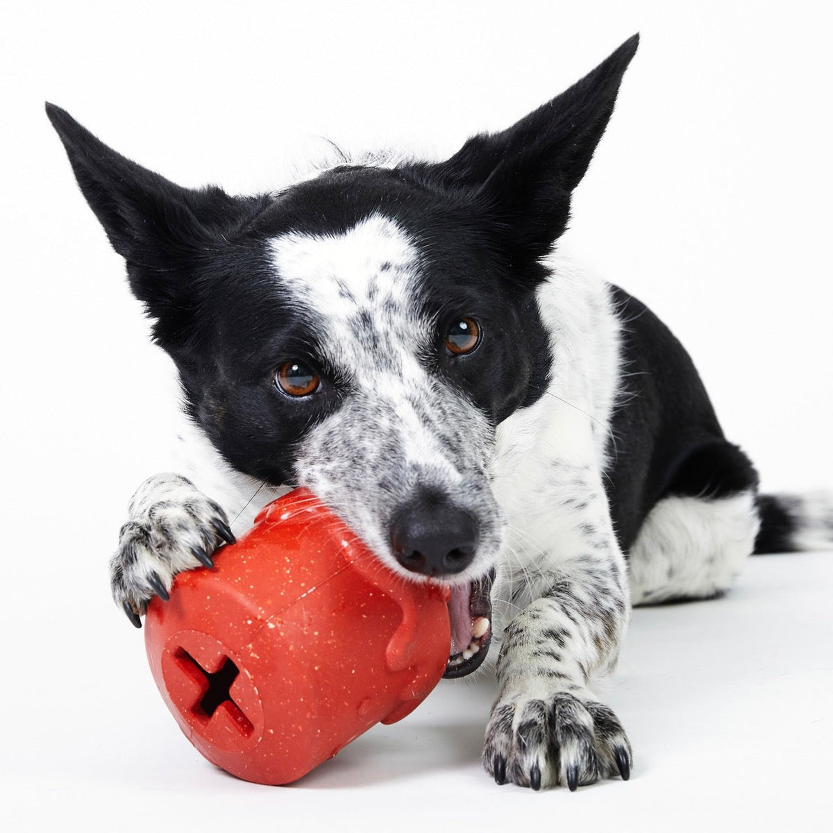 Meghan’s Mug of Cocoa Super Chewer Durable Enrichment Dog Toy