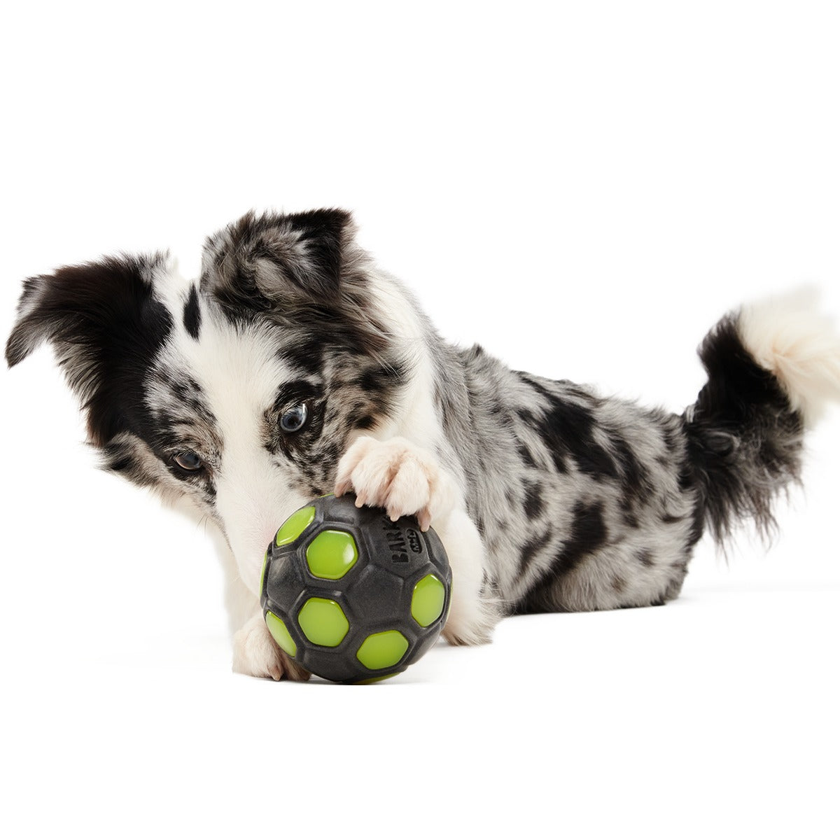 World Pup Snacker Ball Super Chewer Durable Enrichment + Fetch Dog Toy