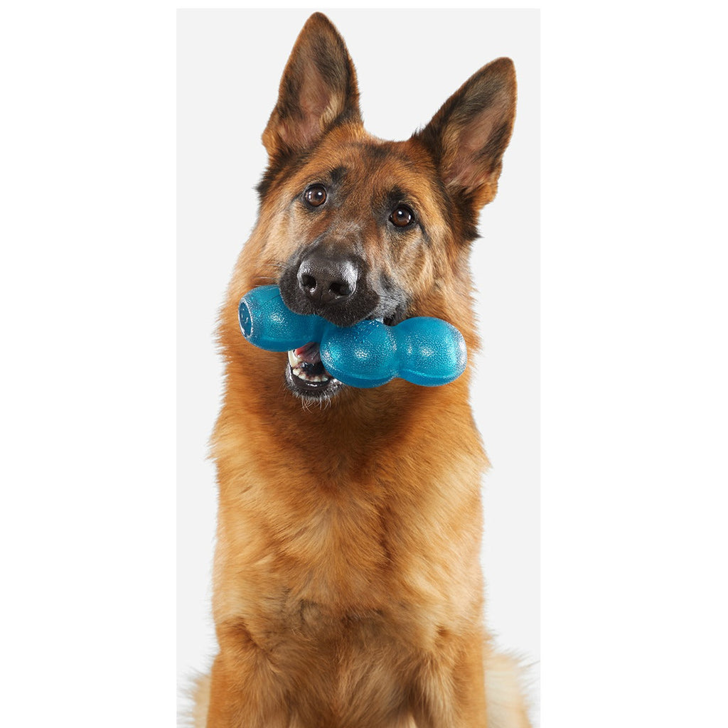 Treat Giver River Super Chewer Durable Enrichment Dog Toy