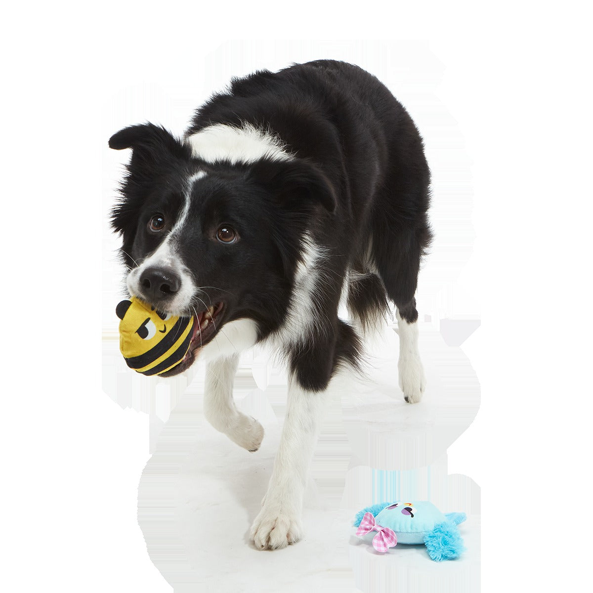 Spring Fling Plush Multi-Part + Fetch Dog Toy
