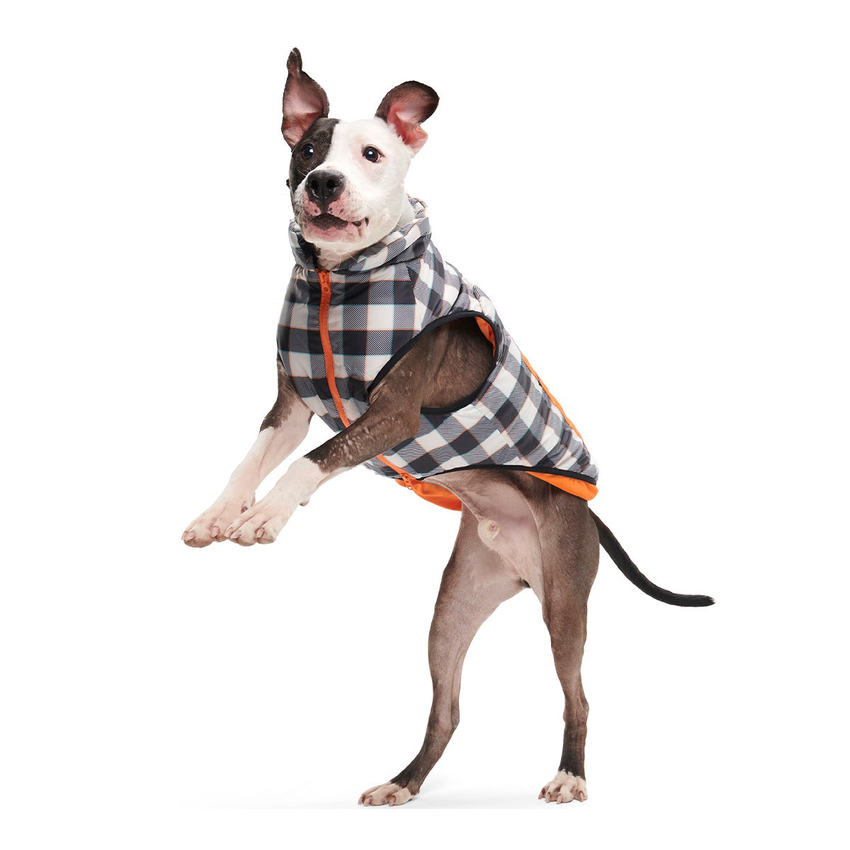 Plaid To The Bone Dog Puffer Vest