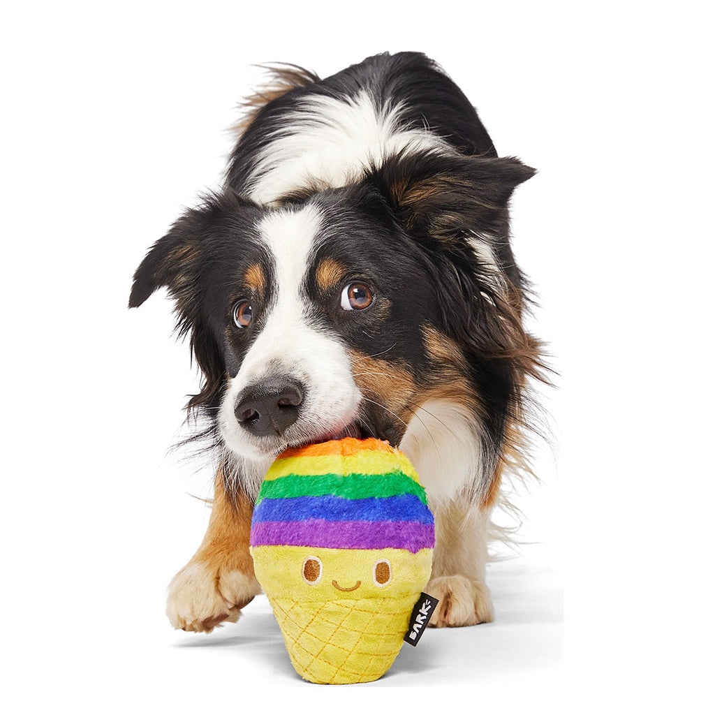Rainbow-wow Sherbert Super Chewer Durable 2-in-1 + Enrichment Dog Toy
