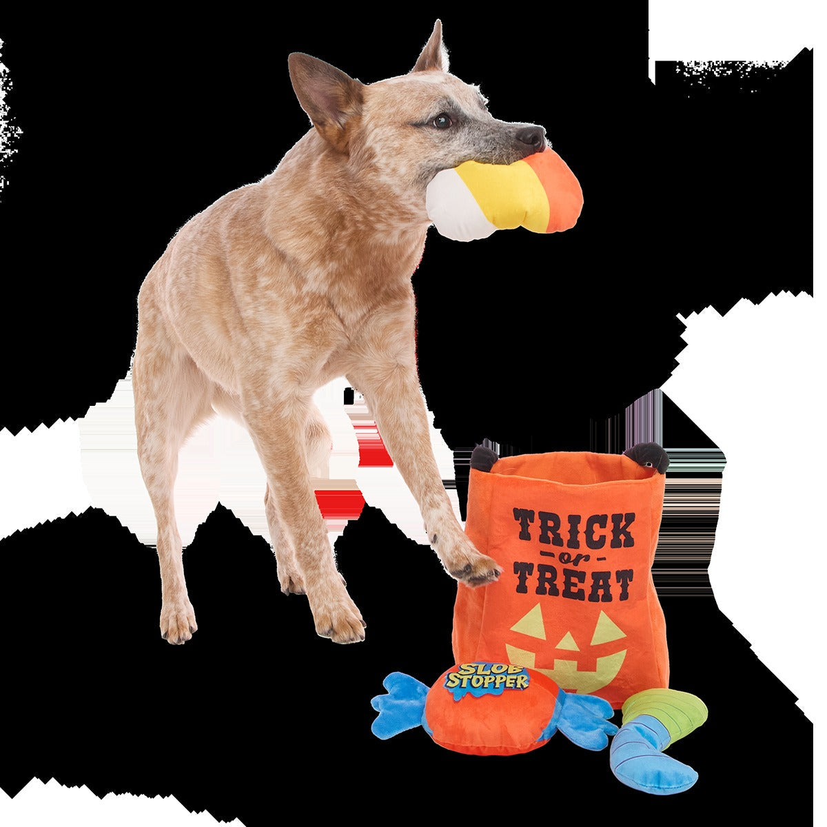 Candy Haul-O-Ween Plush Multi-Part + Tug + Enrichment Dog Toy