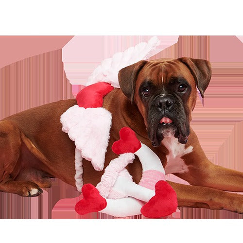Cupid Bundle Plush Wearable Dog Toy