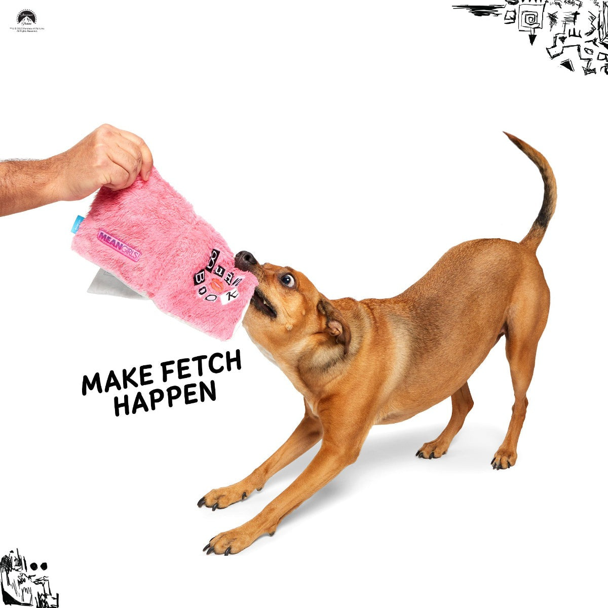 Burn Book Plush Tug + Enrichment Dog Toy