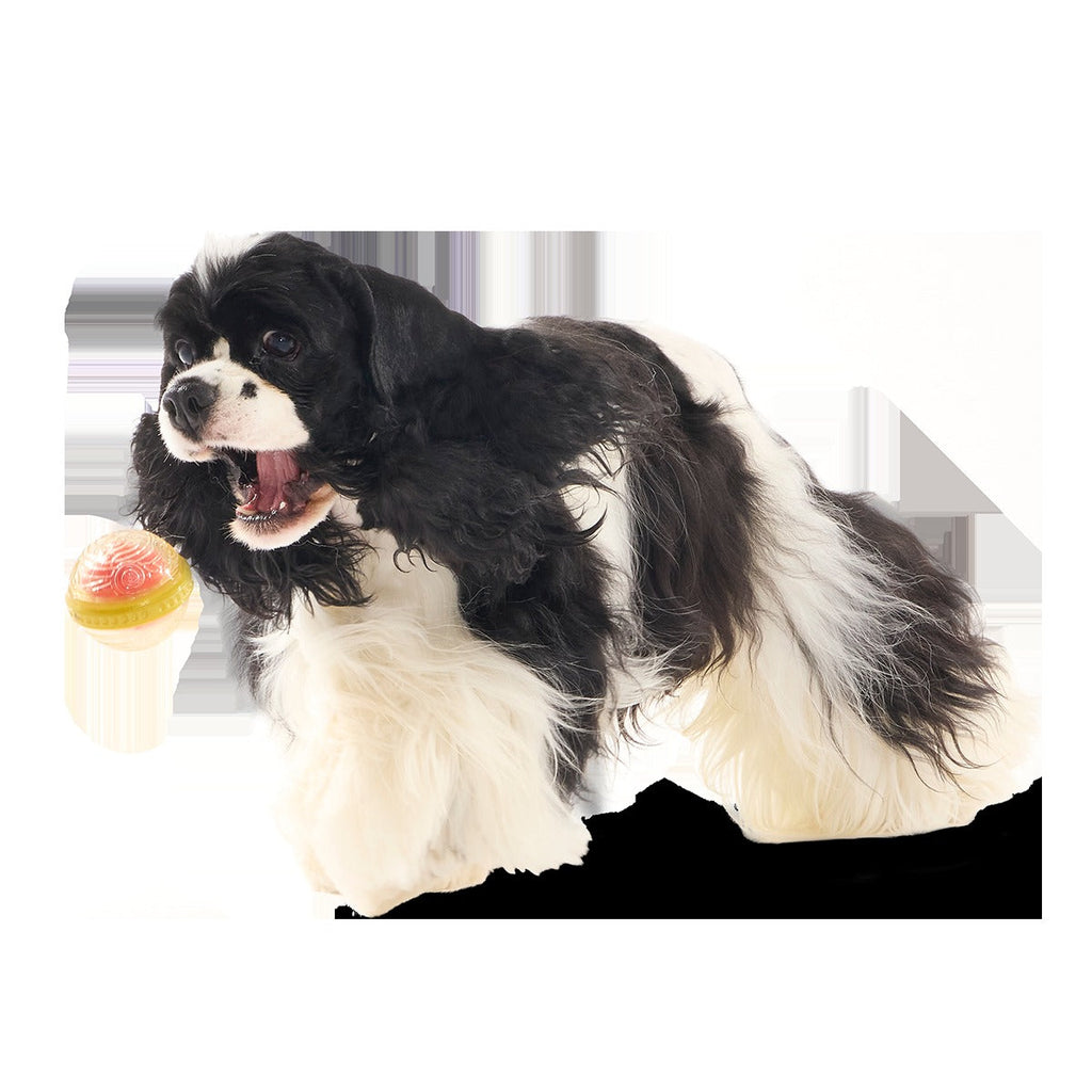 RemembrallTM Super Chewer Durable Fetch Dog Toy